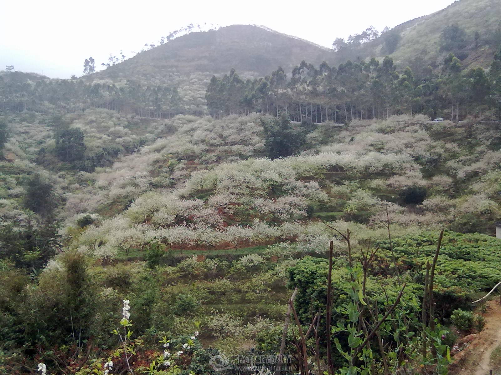 201302122183.jpg