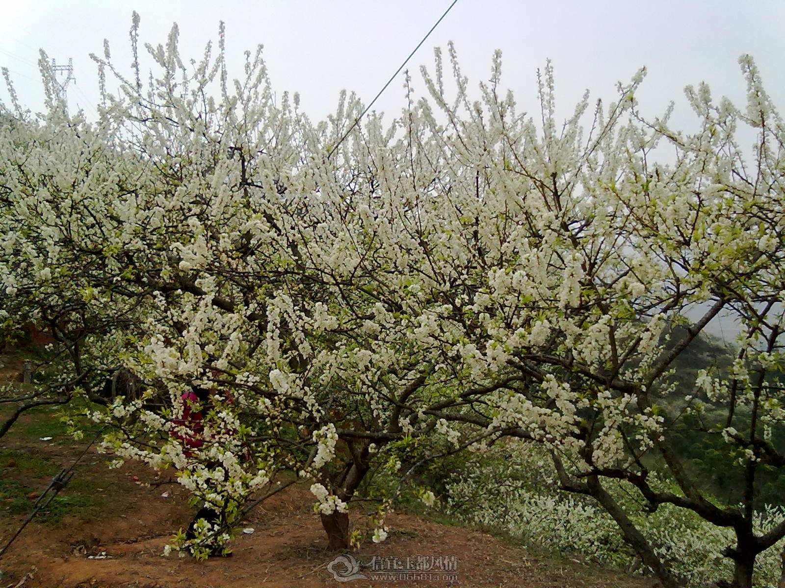 201302122185.jpg