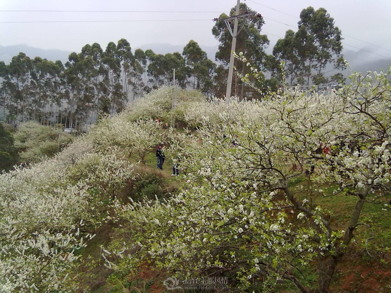 201302122199.jpg
