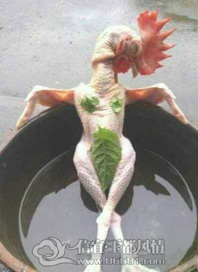 δ����.jpg
