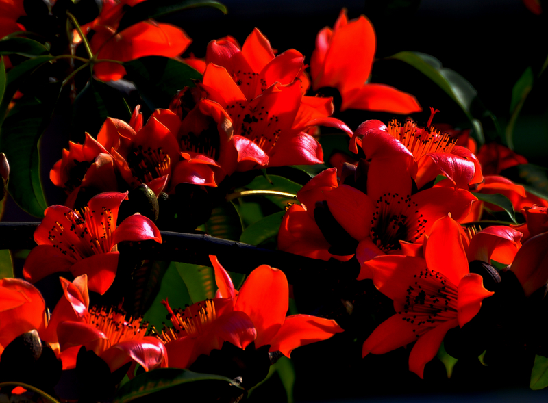 _DSC7700-1.jpg