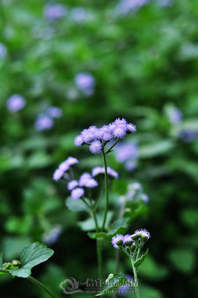 DSC_0036_nEO_IMG.jpg