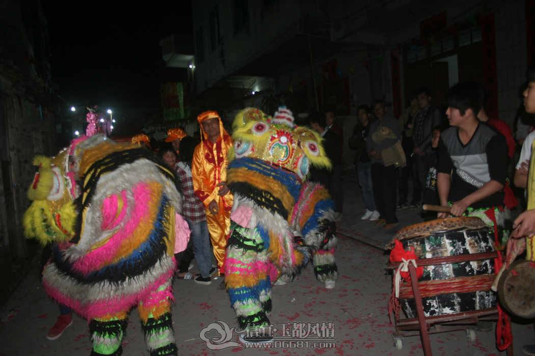IMG_5261.jpg