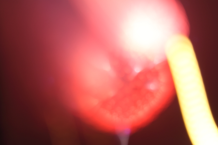 DPP_0082.JPG