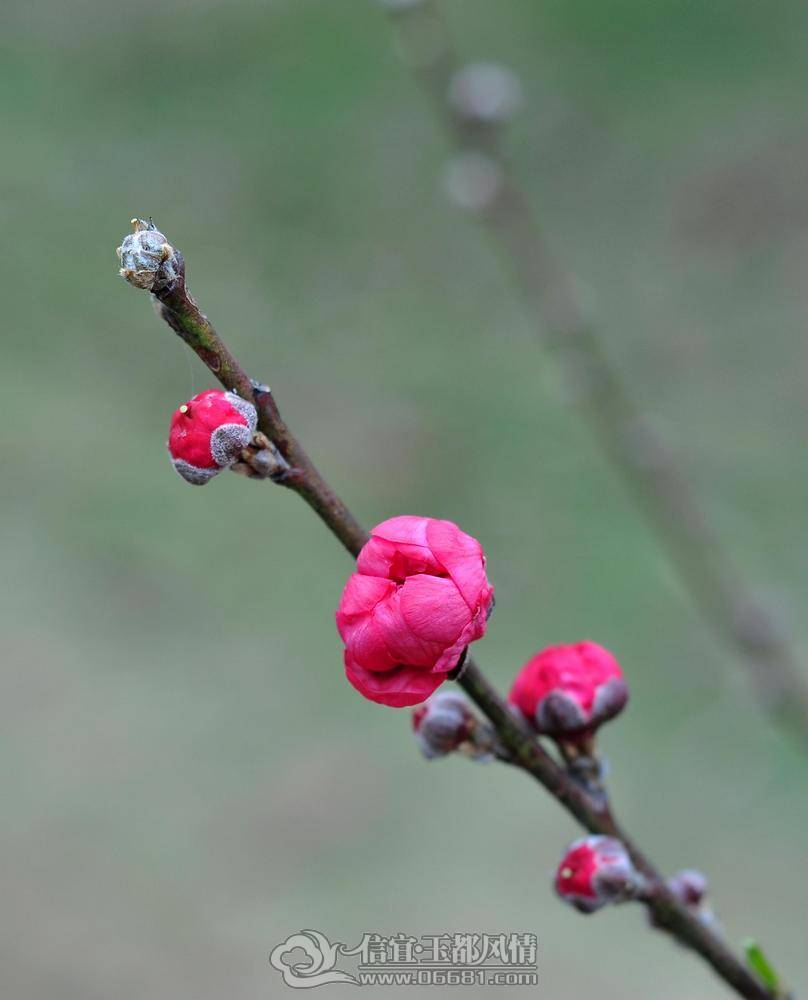 DSC_0251_nEO_IMG.jpg