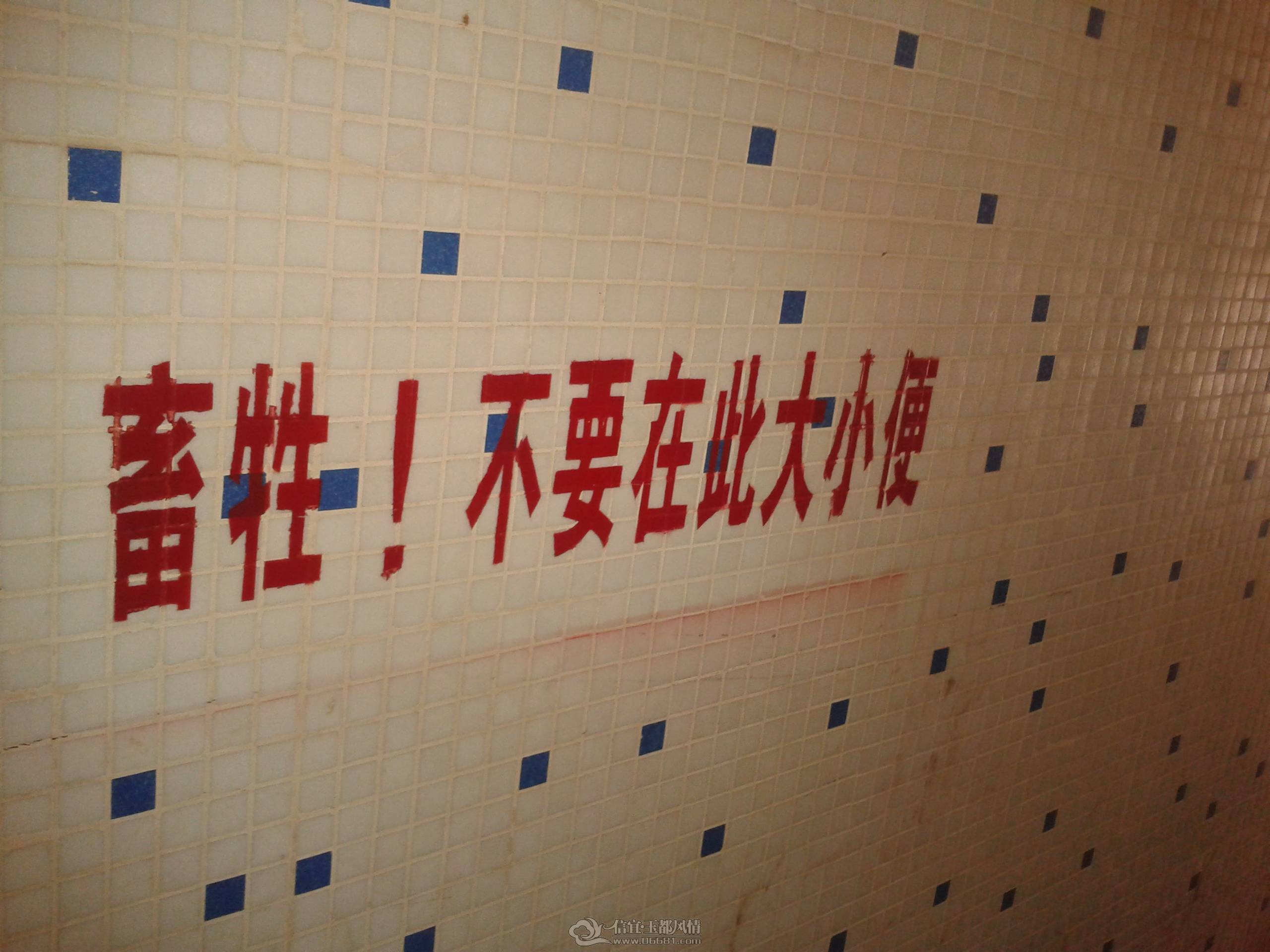 2013-03-01 09.07.33.jpg