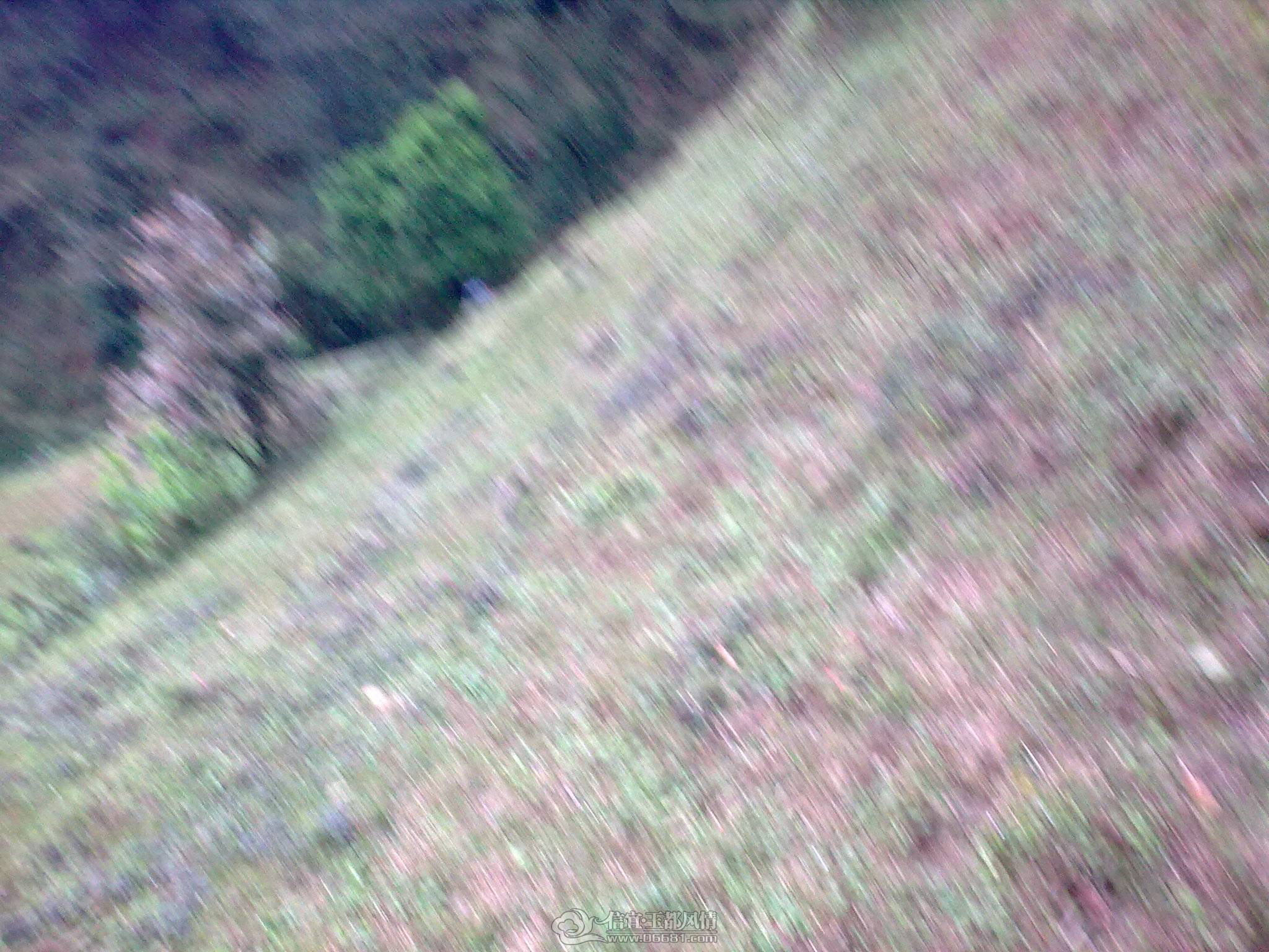 20130227_004.jpg