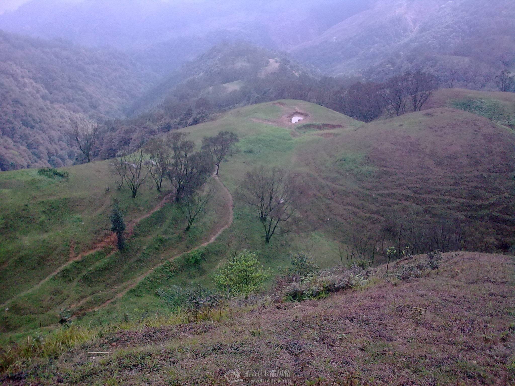 20130227_037.jpg