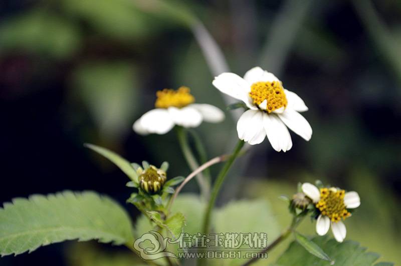 _DSC0406_����.jpg