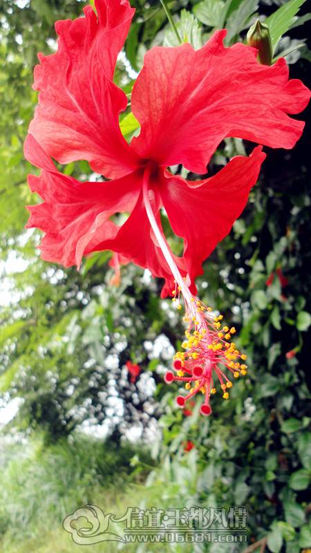 DSC01475_����.jpg
