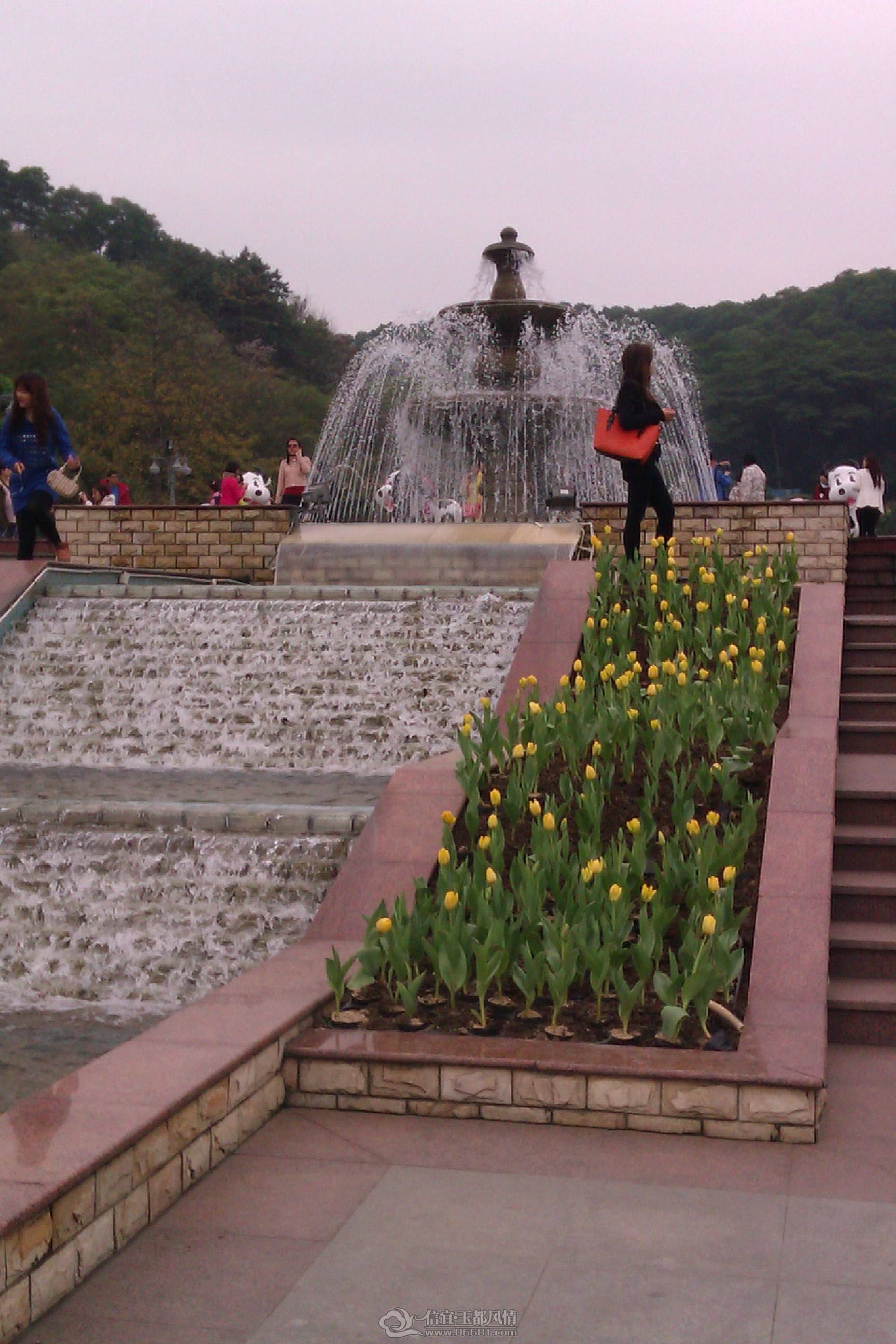 IMAG1098.jpg