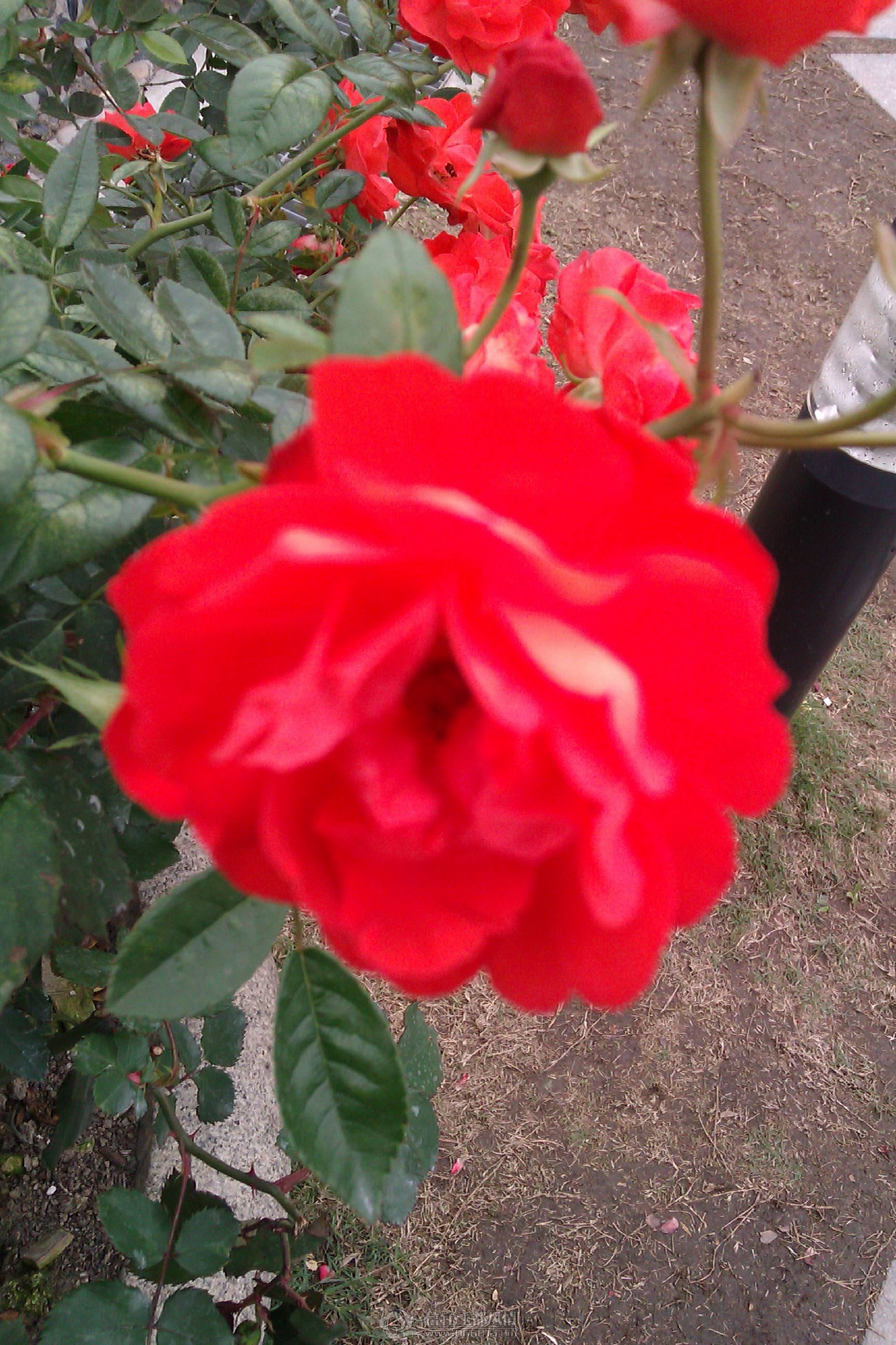 IMAG0998.jpg