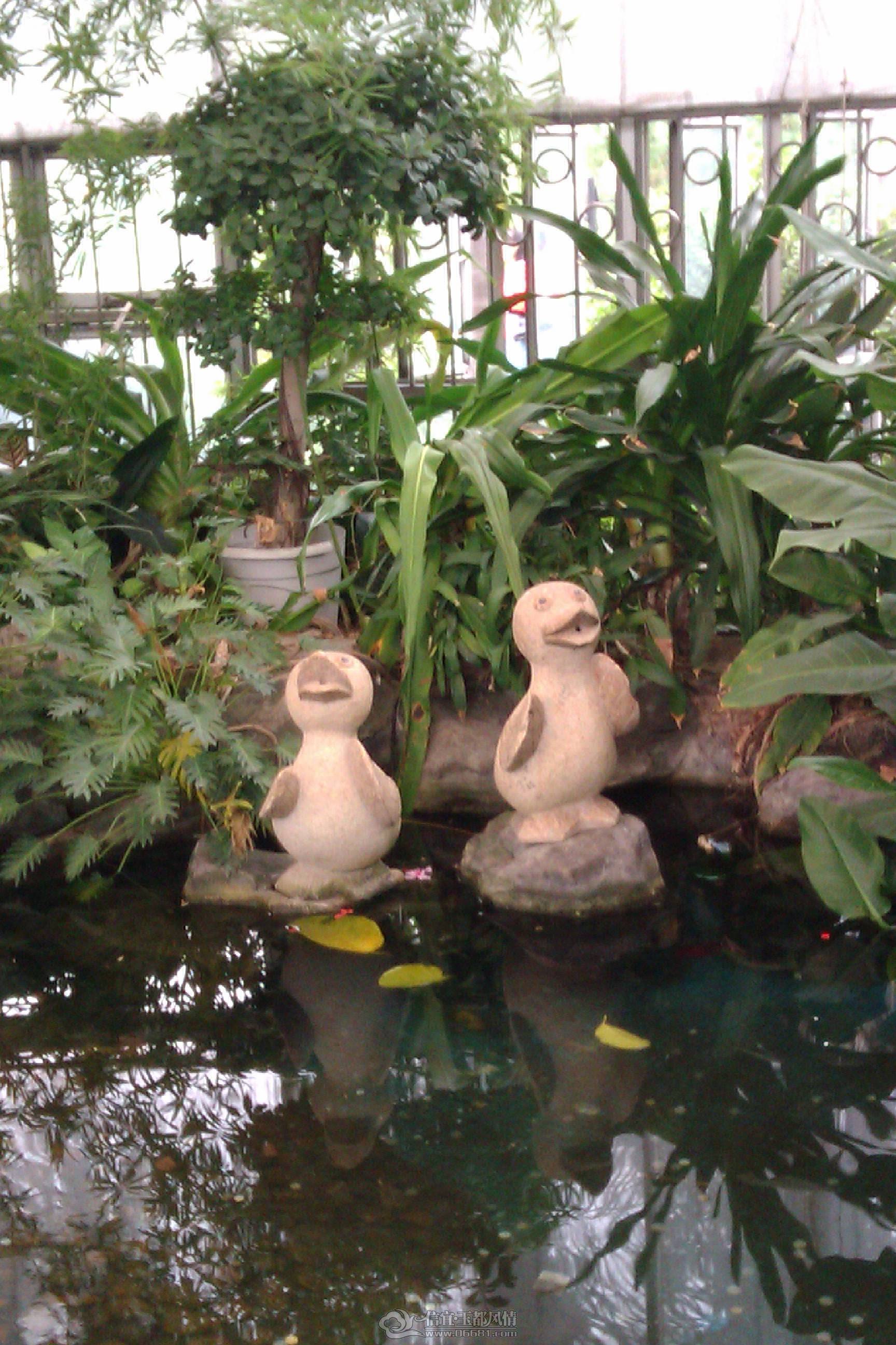 IMAG1073.jpg