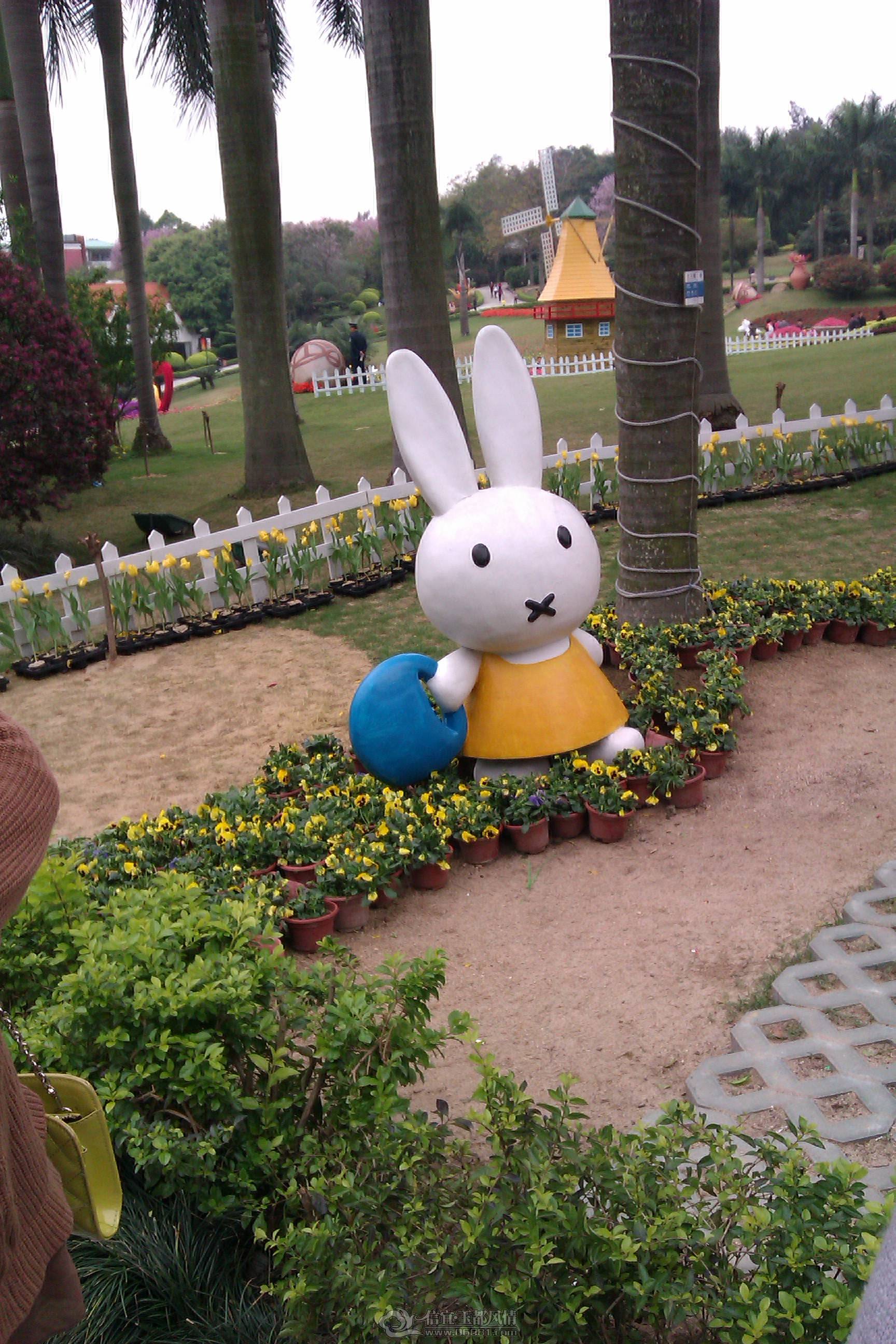IMAG1082.jpg