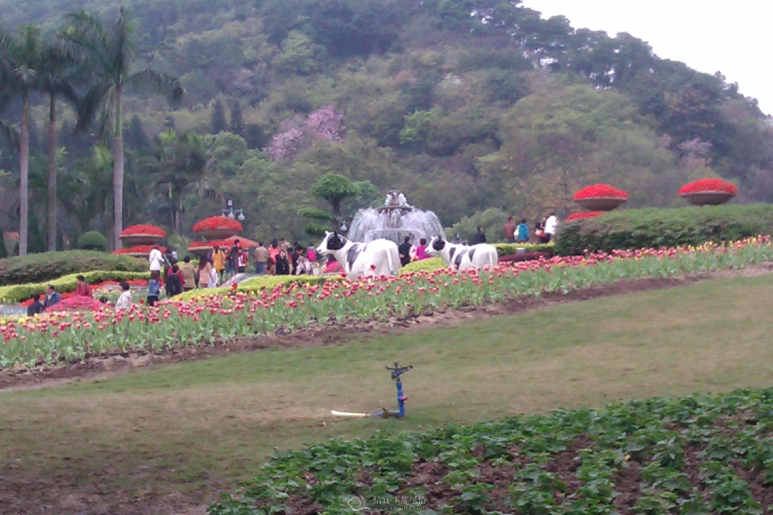 IMAG1087.jpg