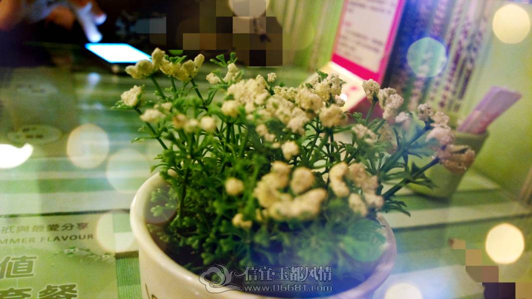 2013-03-04-2094_meitu_1.jpg