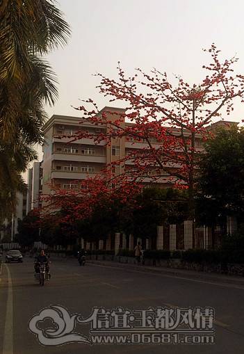 20130309_174304_����.jpg