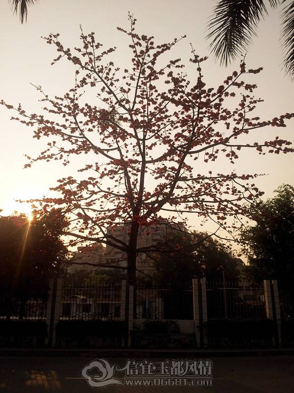 20130309_174209_����.jpg