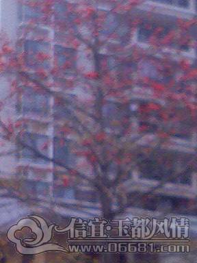 0314_131620.jpg