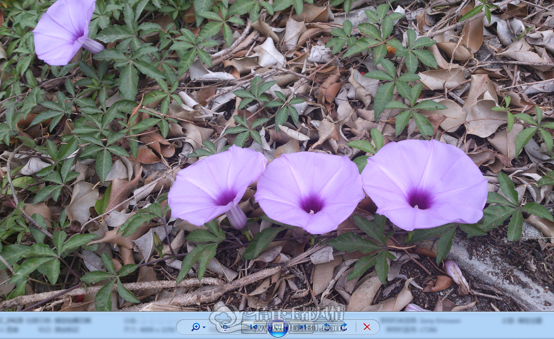 QQ��ͼ20130320212424.png