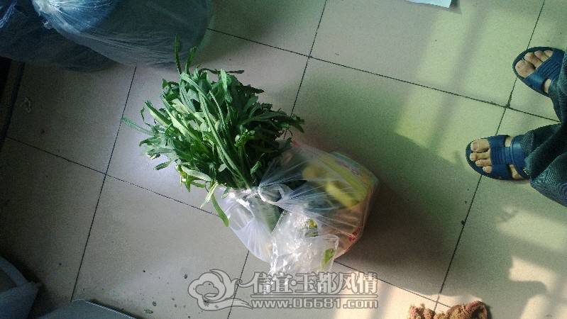 QQͼƬ20130321132754.jpg