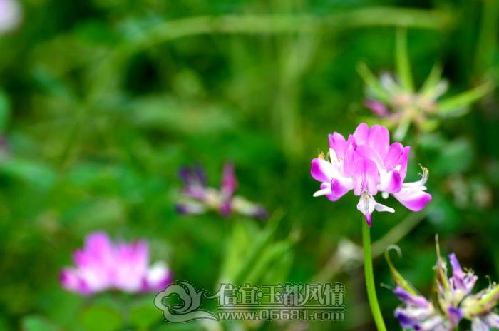 DSC_0016.JPG