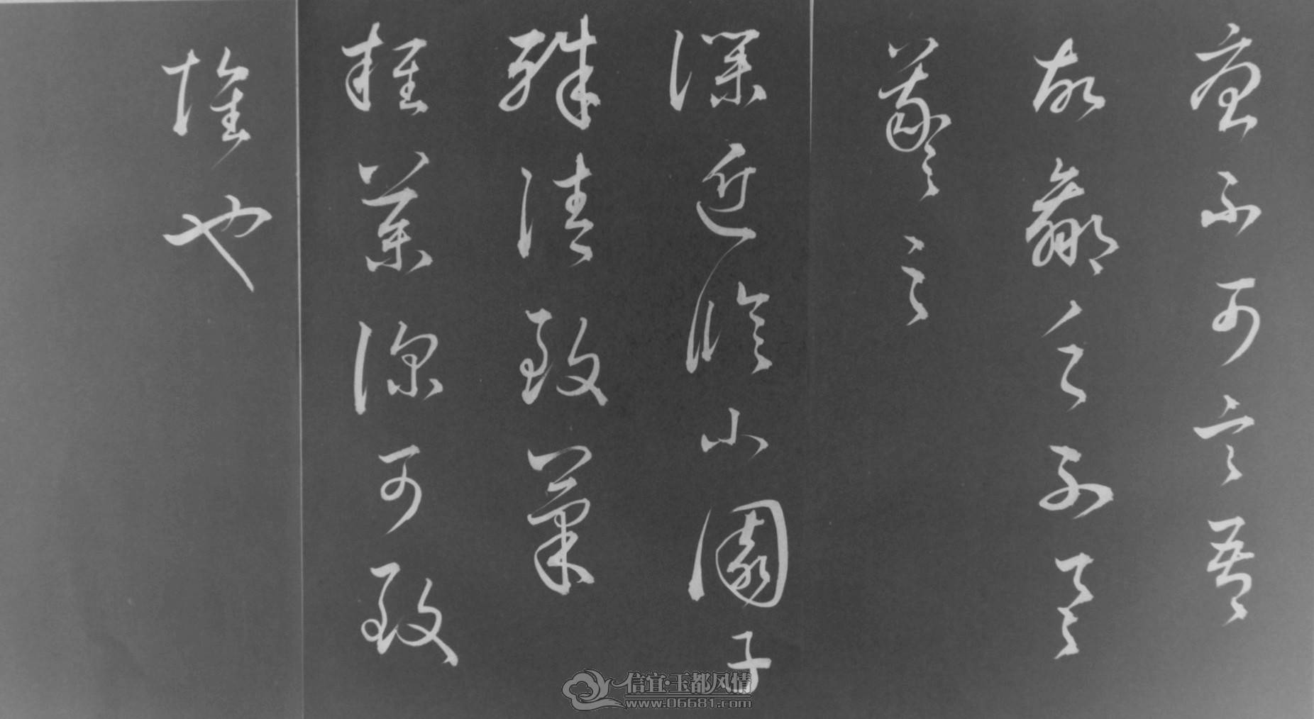 SAM_1955_����_����.jpg