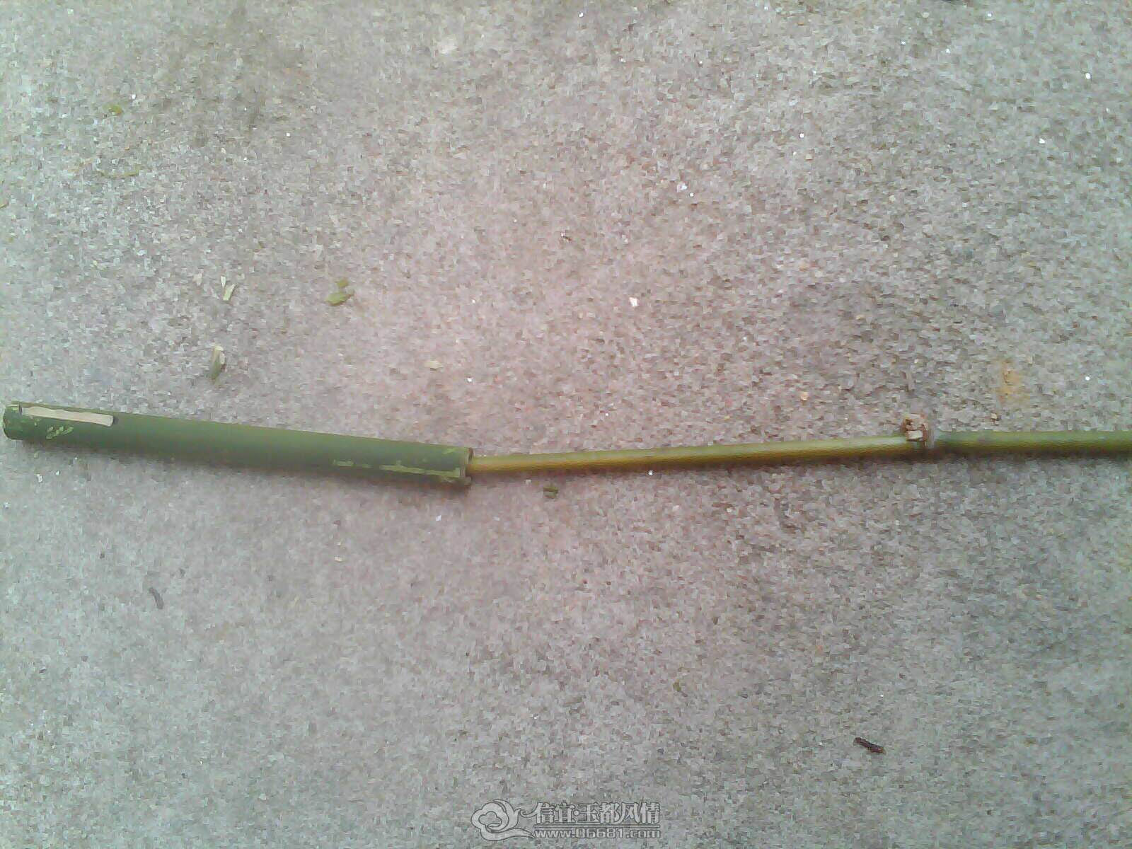 IMAG0267.jpg