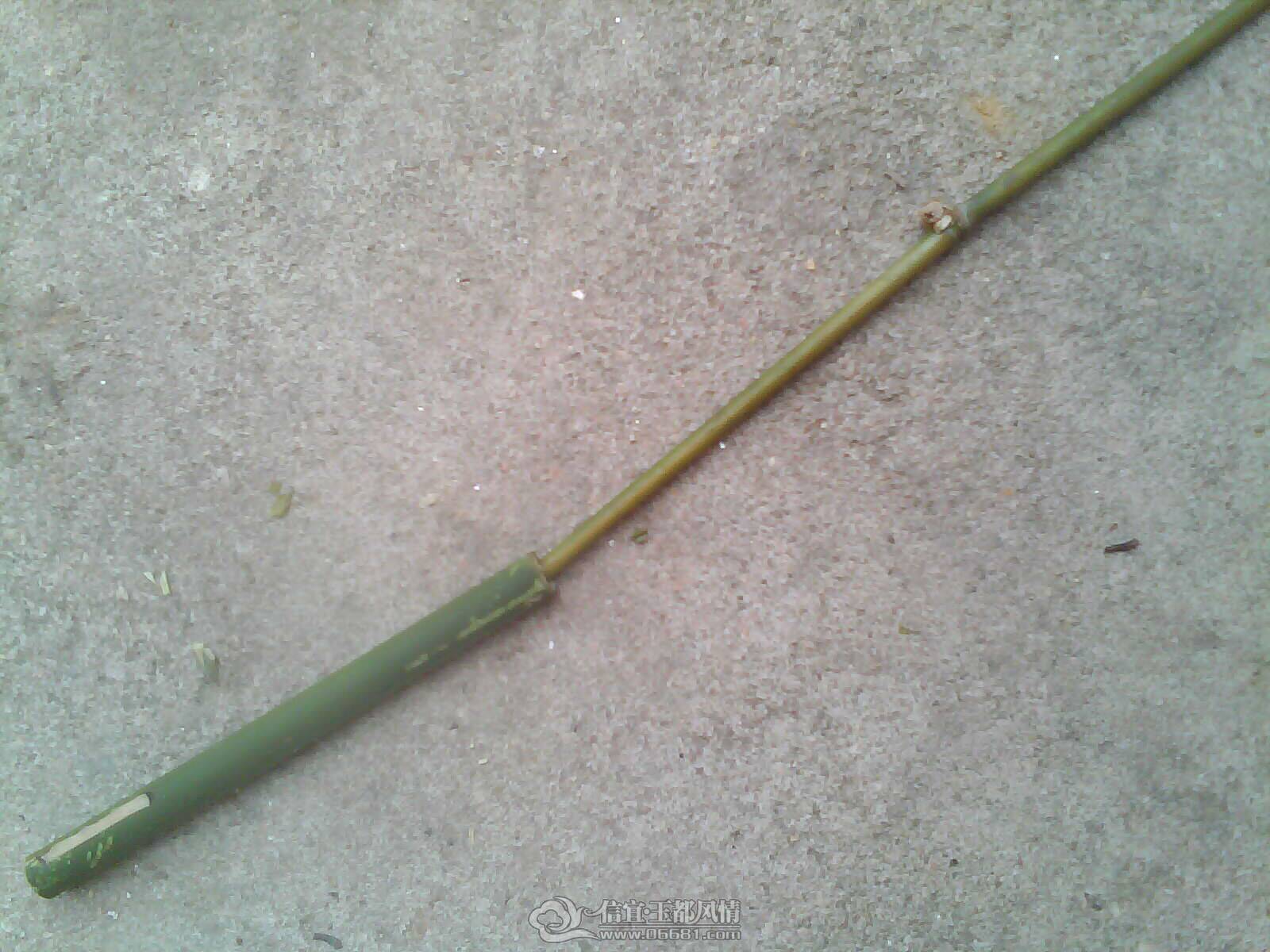 IMAG0268.jpg