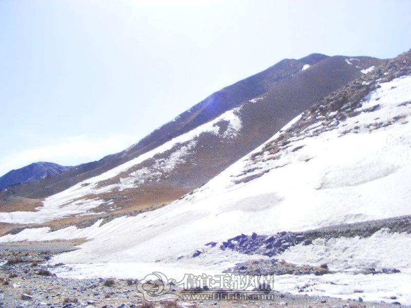 DSCF7726.jpg