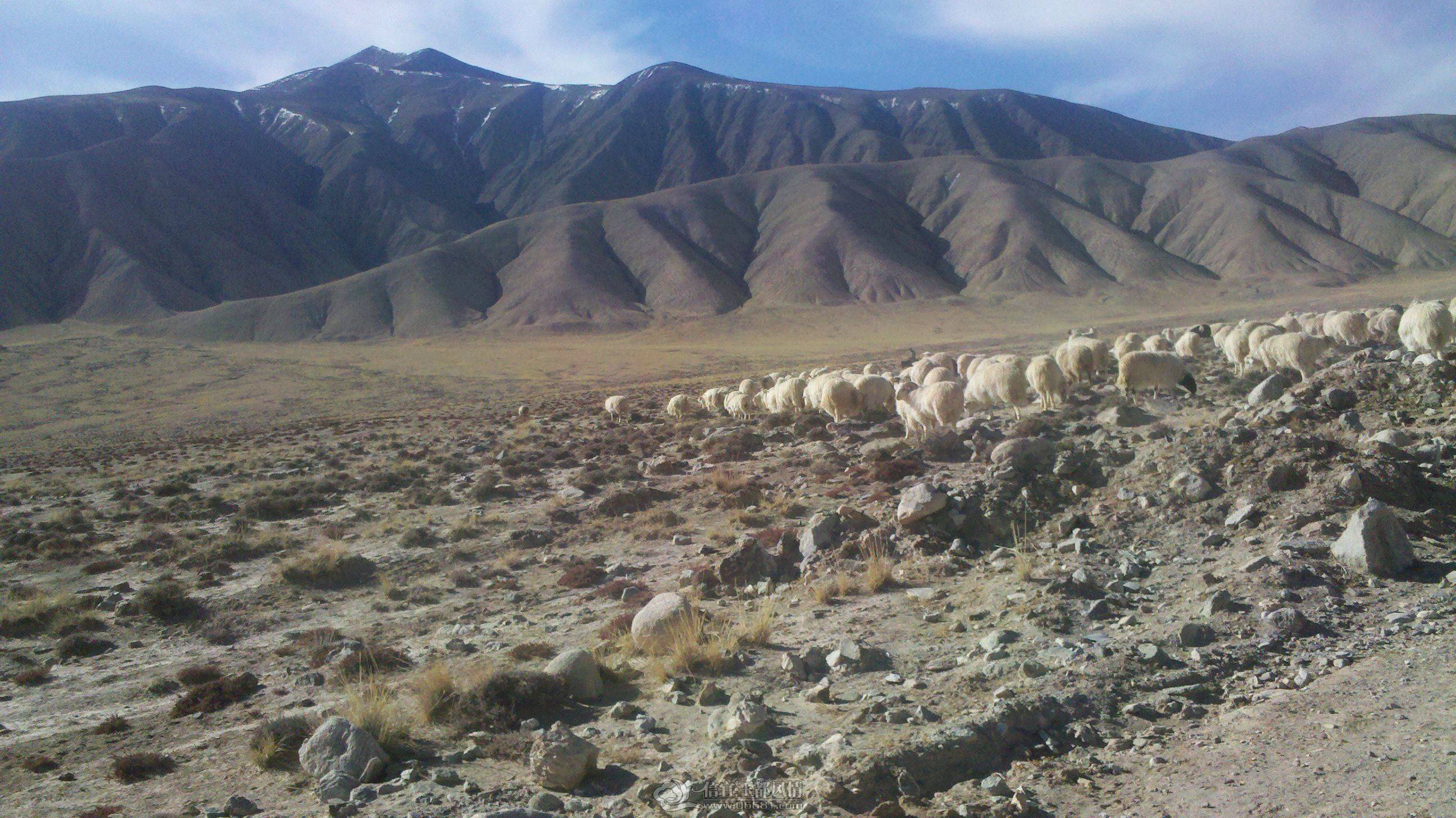 2013-03-19_10-50-45_403.jpg