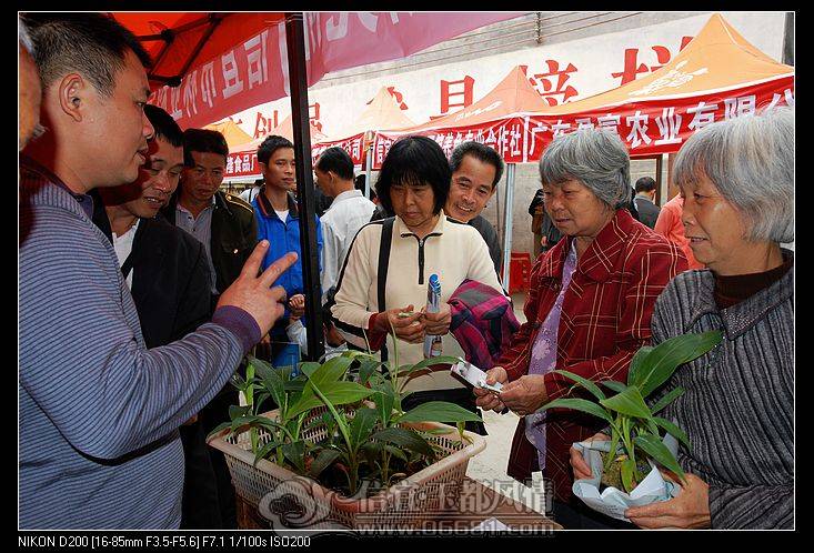 nEO_IMG_DSC_7701.jpg
