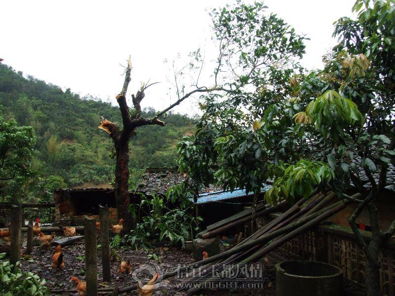 DSCF8130.JPG