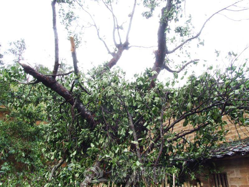 DSCF8132.JPG
