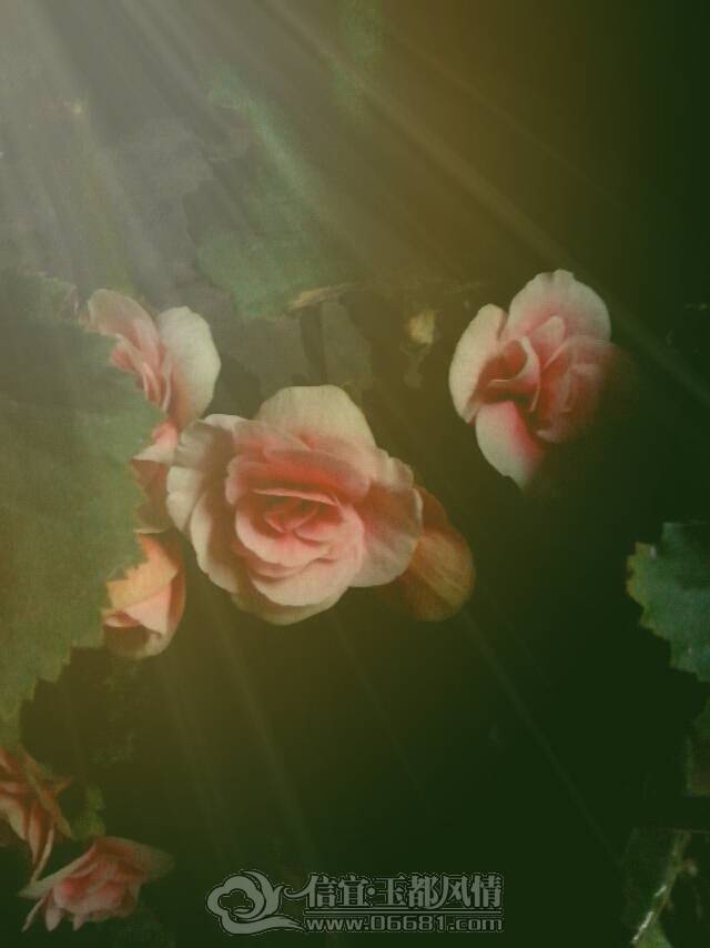 2013-04-07-222213.png