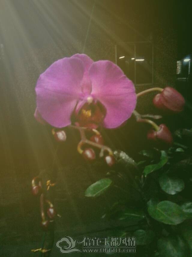2013-04-07-221640.png