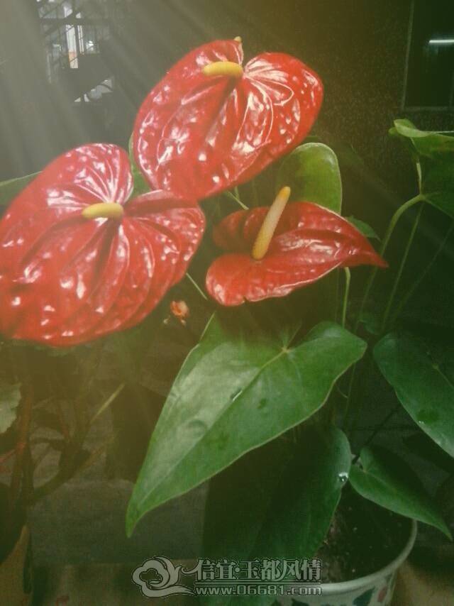 2013-04-07-221655.png