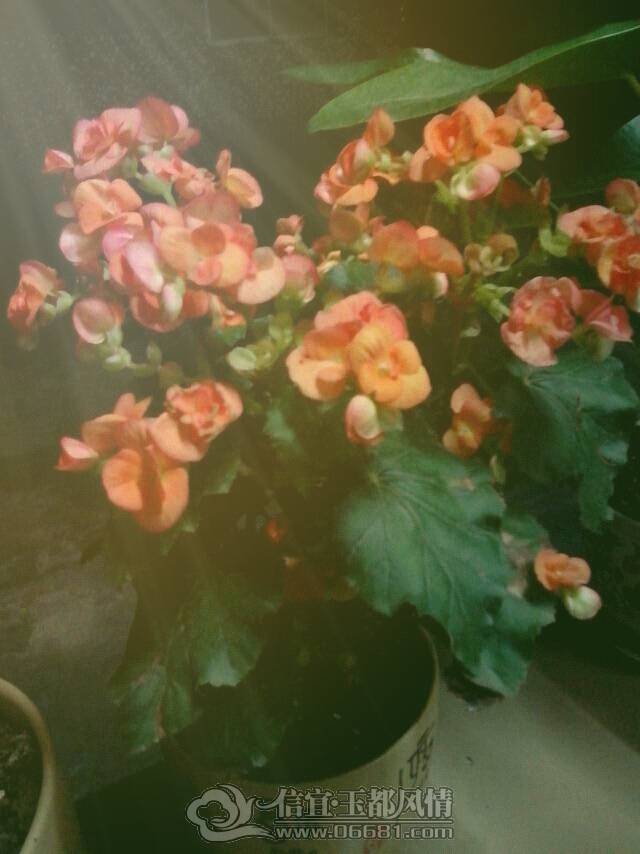 2013-04-07-221708.png