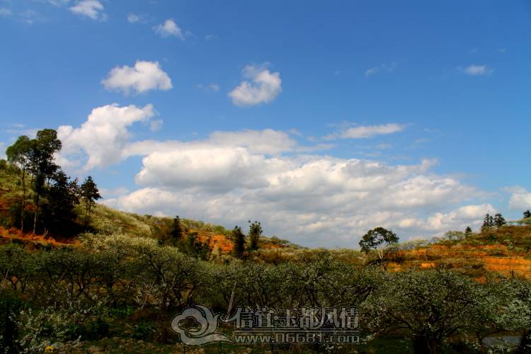 DPP_0007.JPG