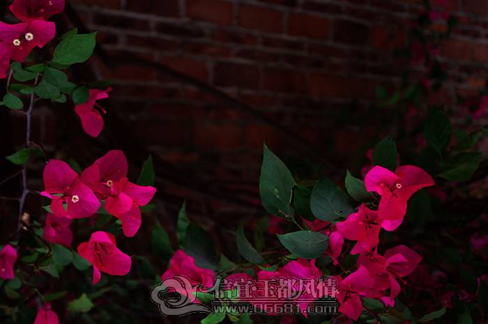 IMGP9432_����_����.jpg