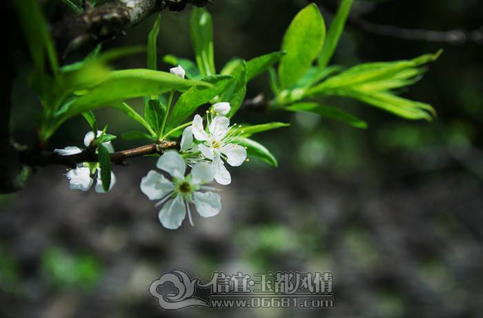 IMGP3204_����.jpg