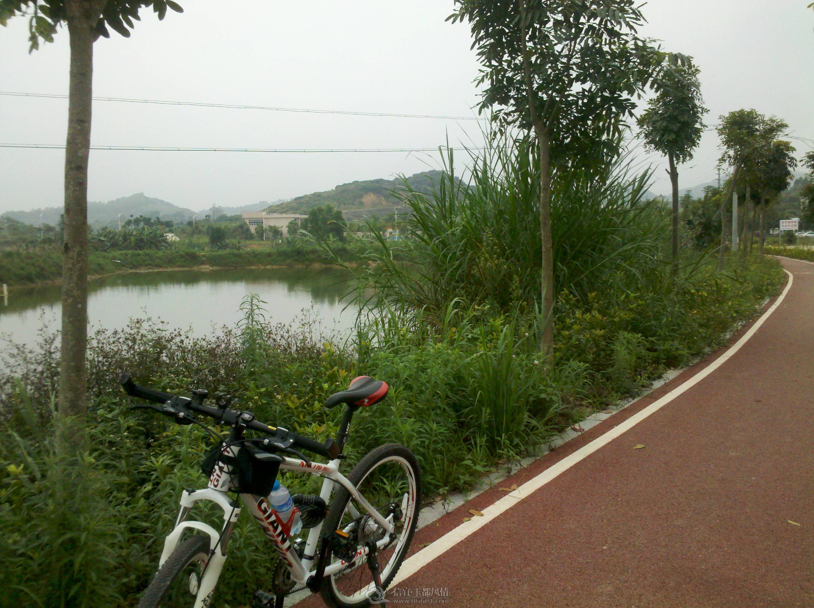 IMG_20130404_131633.jpg