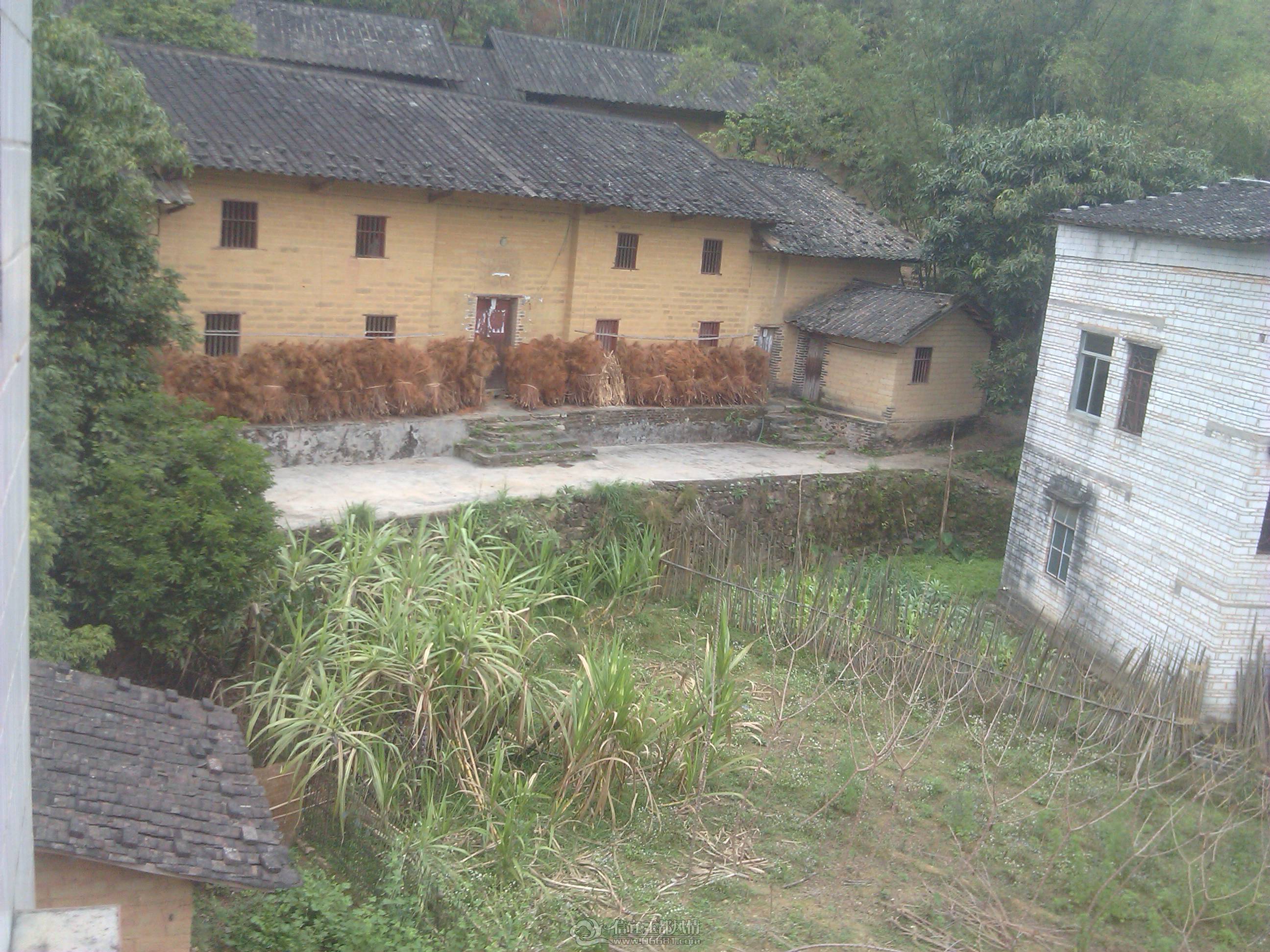 IMG_20130209_160013.jpg