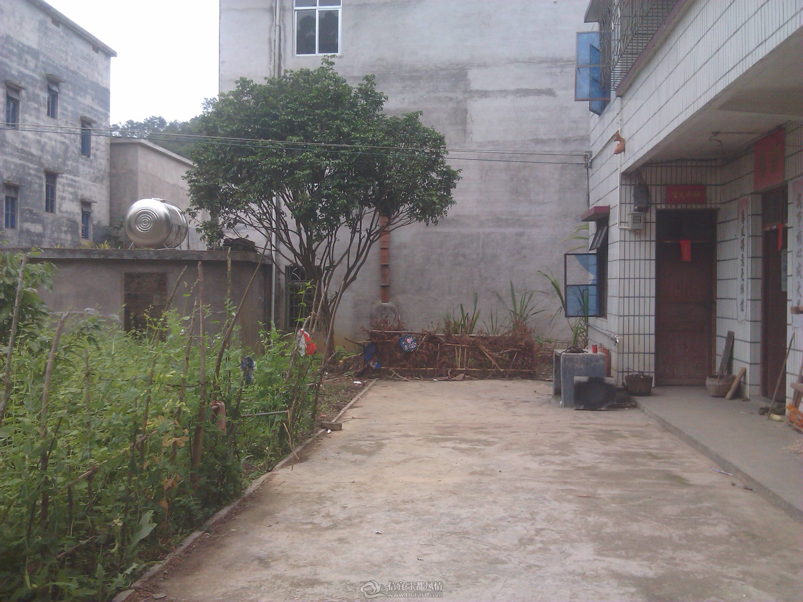 IMG_20130209_161845.jpg