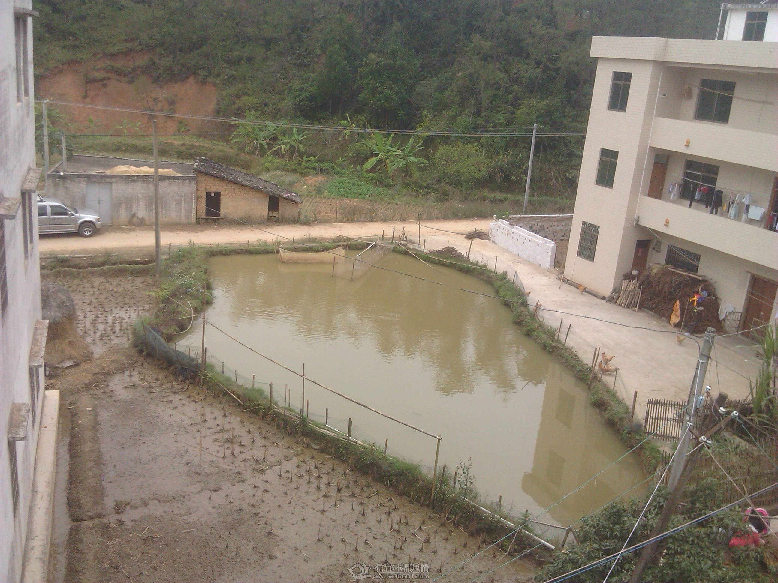 IMG_20130209_160435.jpg