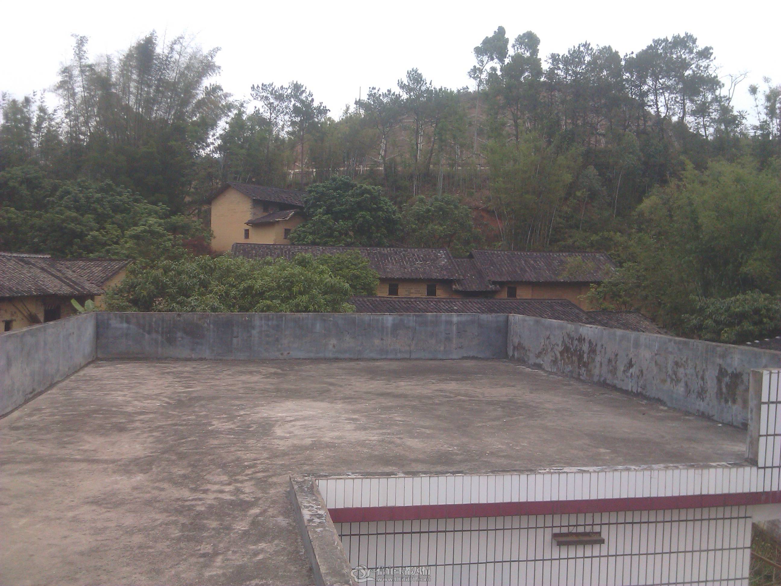 IMG_20130209_160639.jpg
