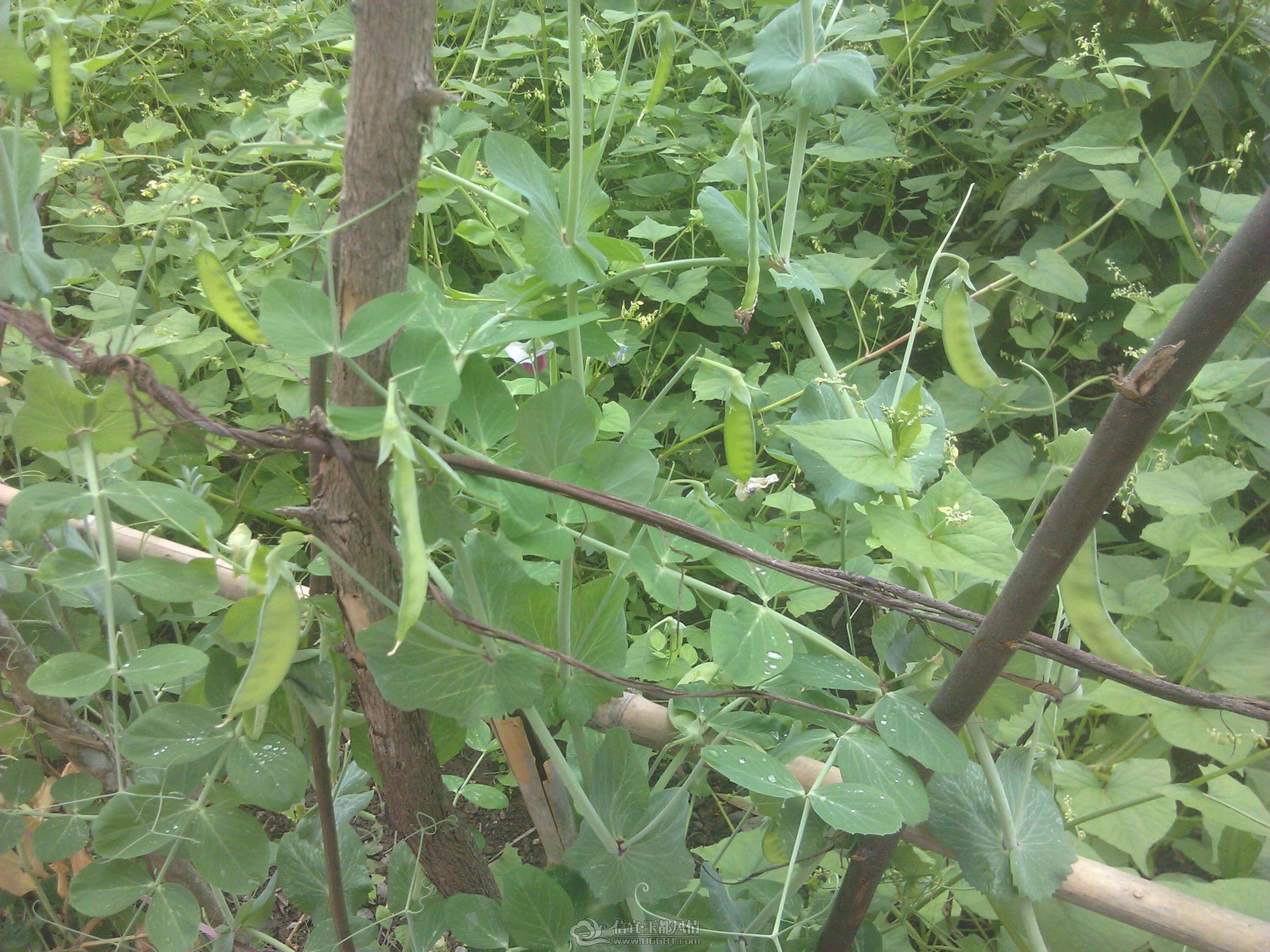 IMG_20130209_135456.jpg