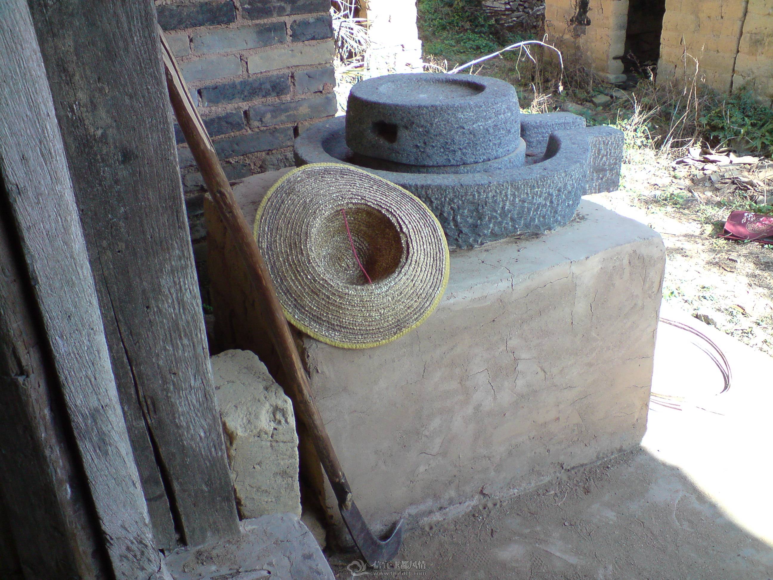DSC02535.JPG