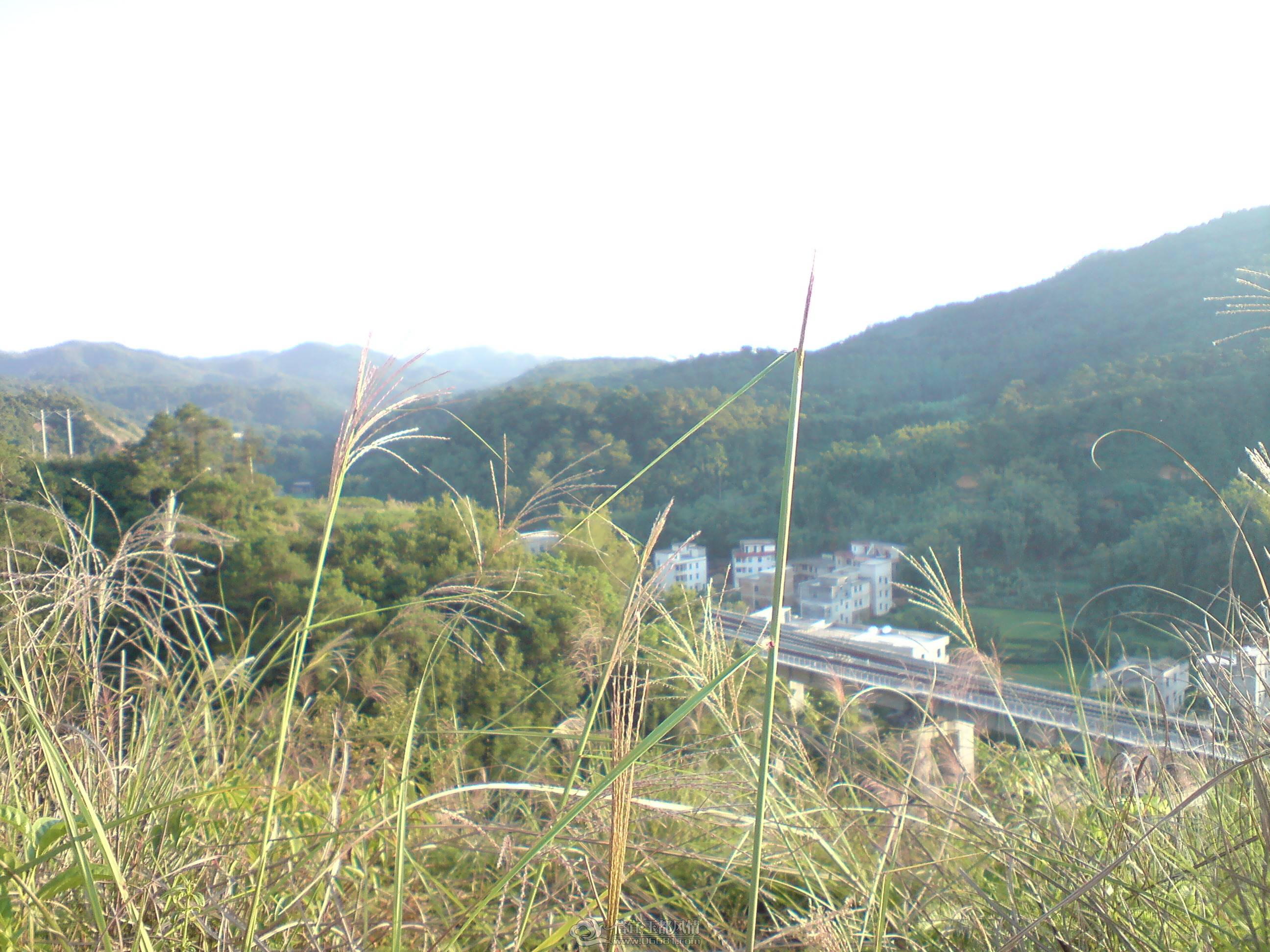 DSC02589.JPG