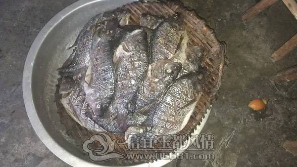 ׼��ը��.jpg